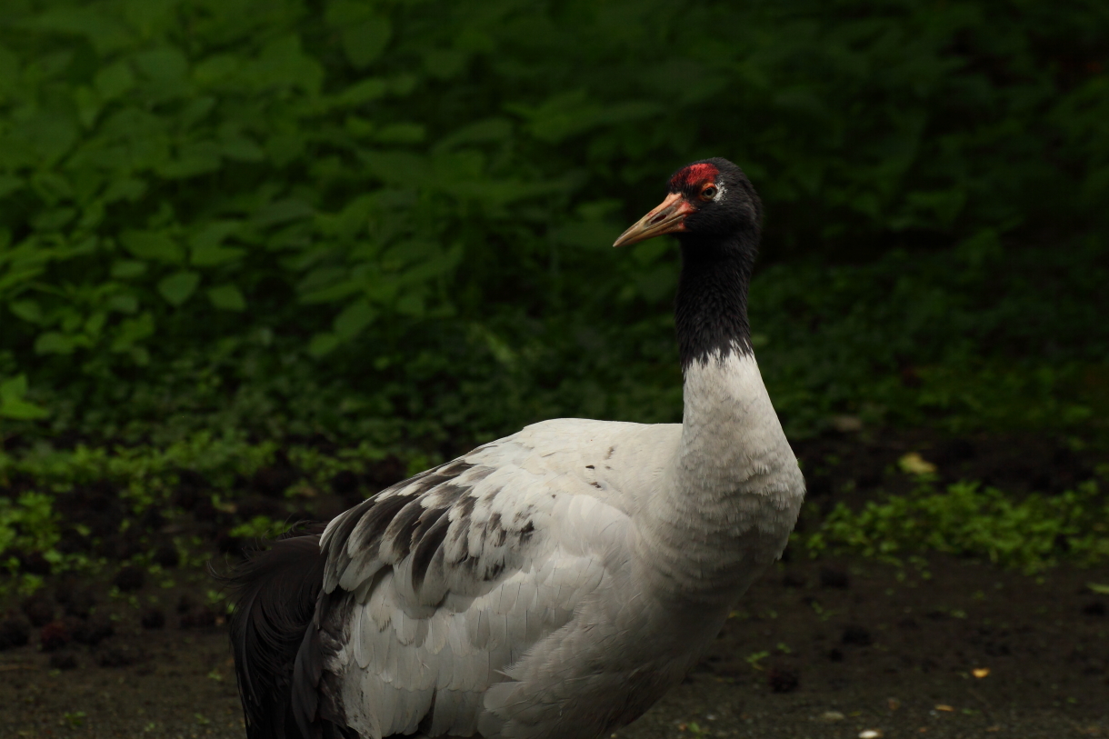2014 06 11 HTP 61699